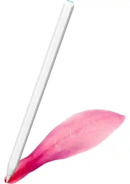 Fuchsia 2. Nesil Manyetik Şarjlı Eğime Duyarlı Avuç İçi Reddetme Özellikli iPad Kalemi