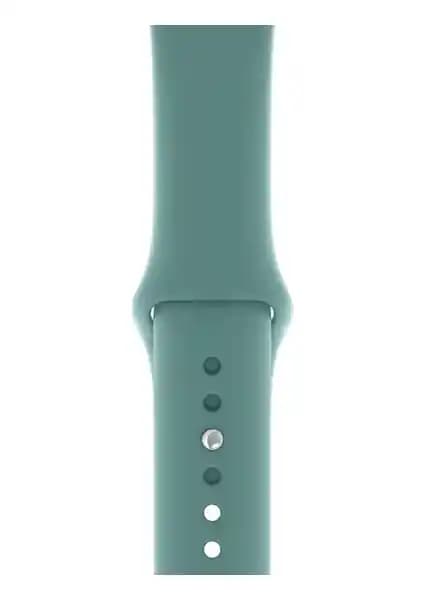 PSGT Silikon Kordon Apple Watch 38, 40 ve 41mm Uyumlu: Konforlu, Şık ve Dayanıklı