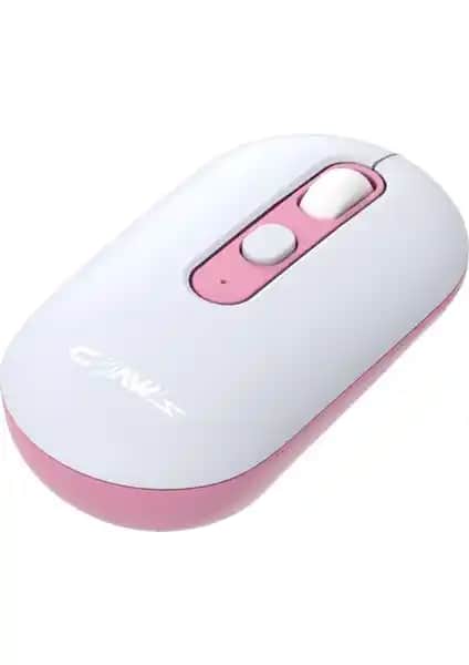 Claw's Pastel Style ve Everest SM-300 Kablosuz Mouse Karşılaştırması