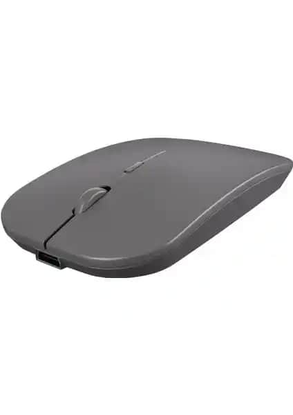 Leason LE101 ve Pusat Business Pro Kablosuz Mouse Karşılaştırması
