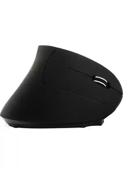 Cloody Dikey Ergonomik Kablosuz Mouse ve Logitech M240 Bluetooth Mouse Karşılaştırması
