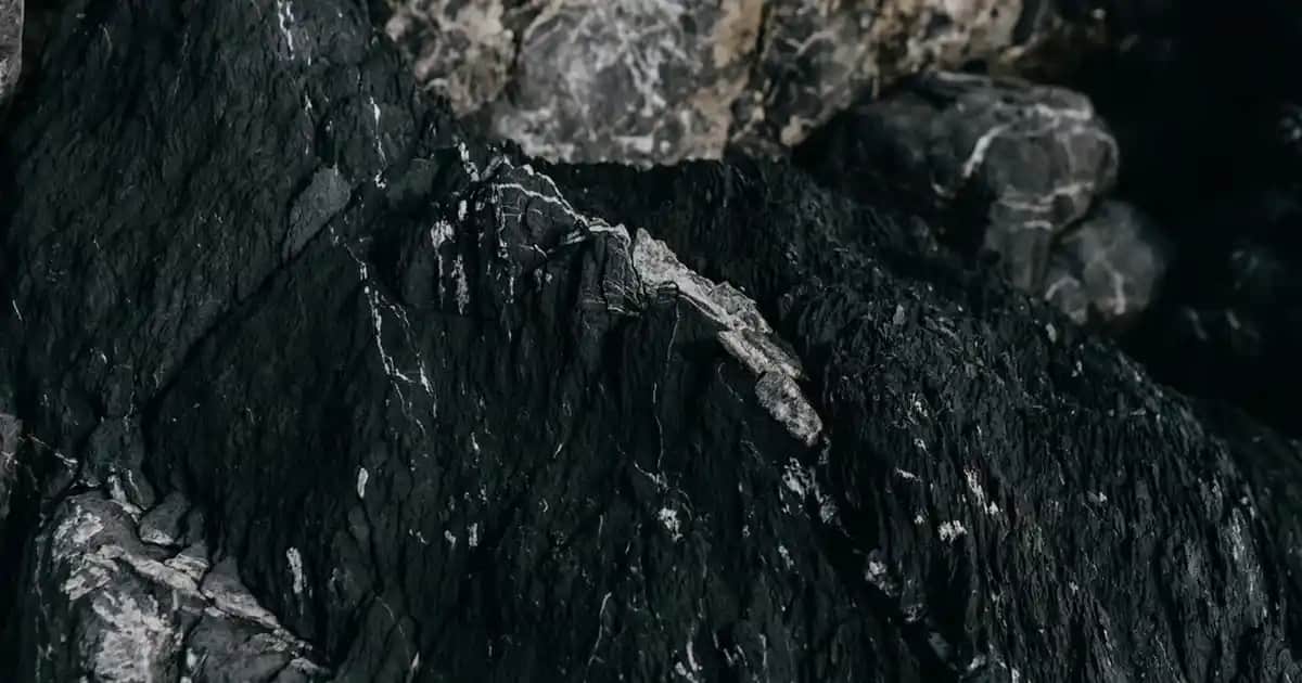 195 Ekran TV Seçenekleri ve Teknolojileri: Evde Sinema Deneyimini Yükseltin