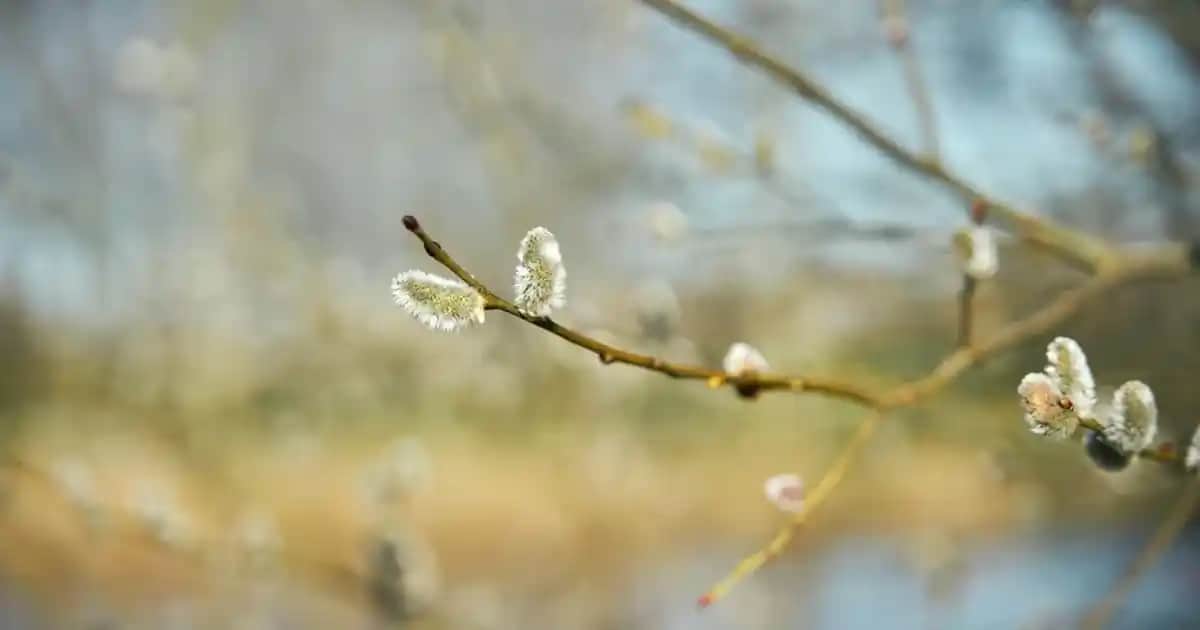 Ali Koç’un Telefon Tercihi Güvenlik ve Gizlilik Odaklı Modern Trendler