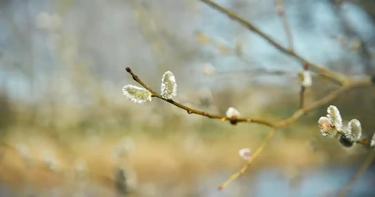 Ali Koç’un Telefon Tercihi Güvenlik ve Gizlilik Odaklı Modern Trendler
