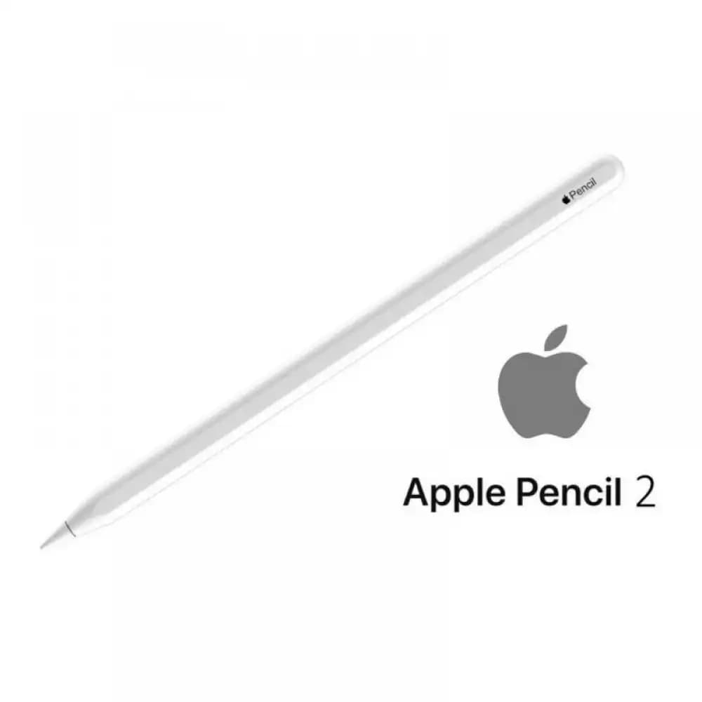 Apple Pencil 2. Nesil ile Dijital Çizim ve Not Alma Deneyimini Yükseltin