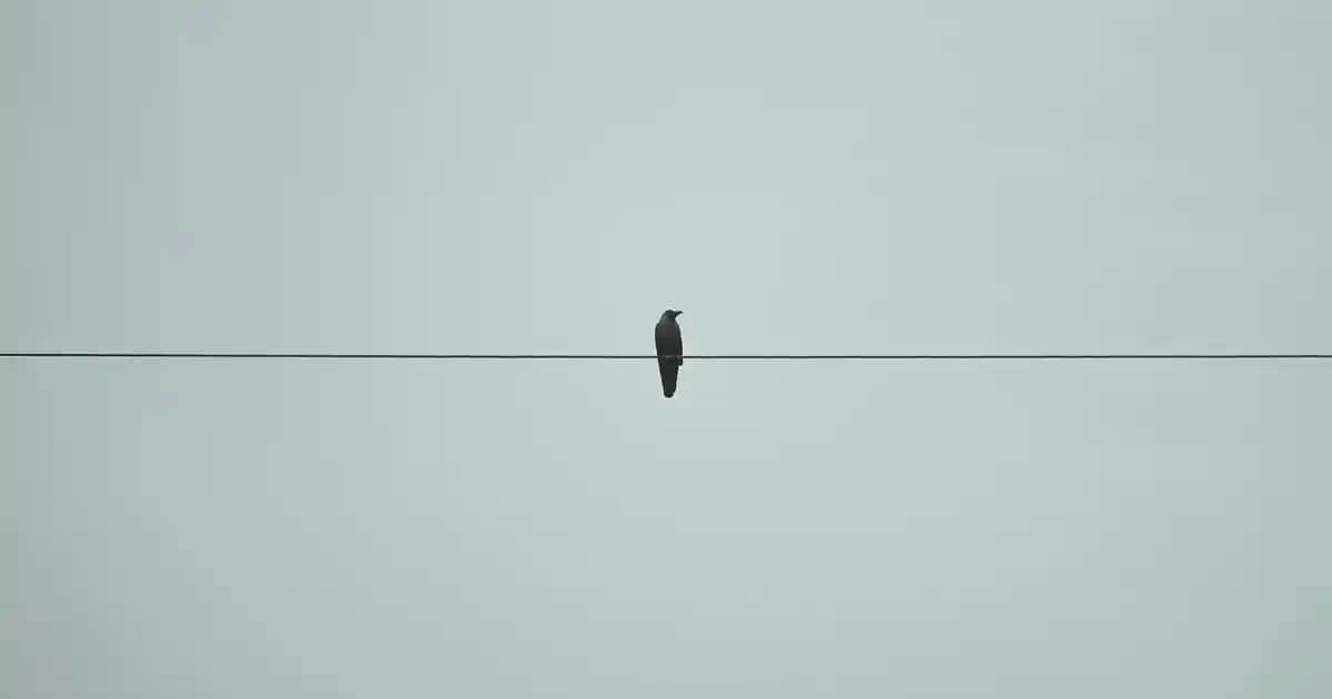 Baseus iPhone Şarj Kablosu: Yüksek Performanslı ve Güvenilir Şarj Deneyimi