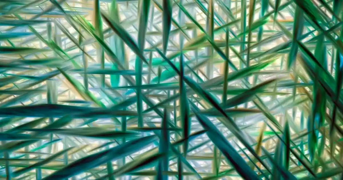 Braun Silk-épil Epilasyon Cihazları: Güvenilirlik ve Teknolojinin Buluşması