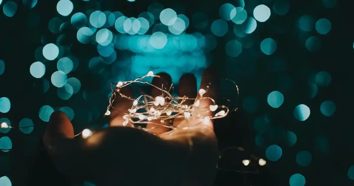 Dijital ve geleneksel fotoğraf makineleri: modelleri, teknolojileri ve kullanım alanları