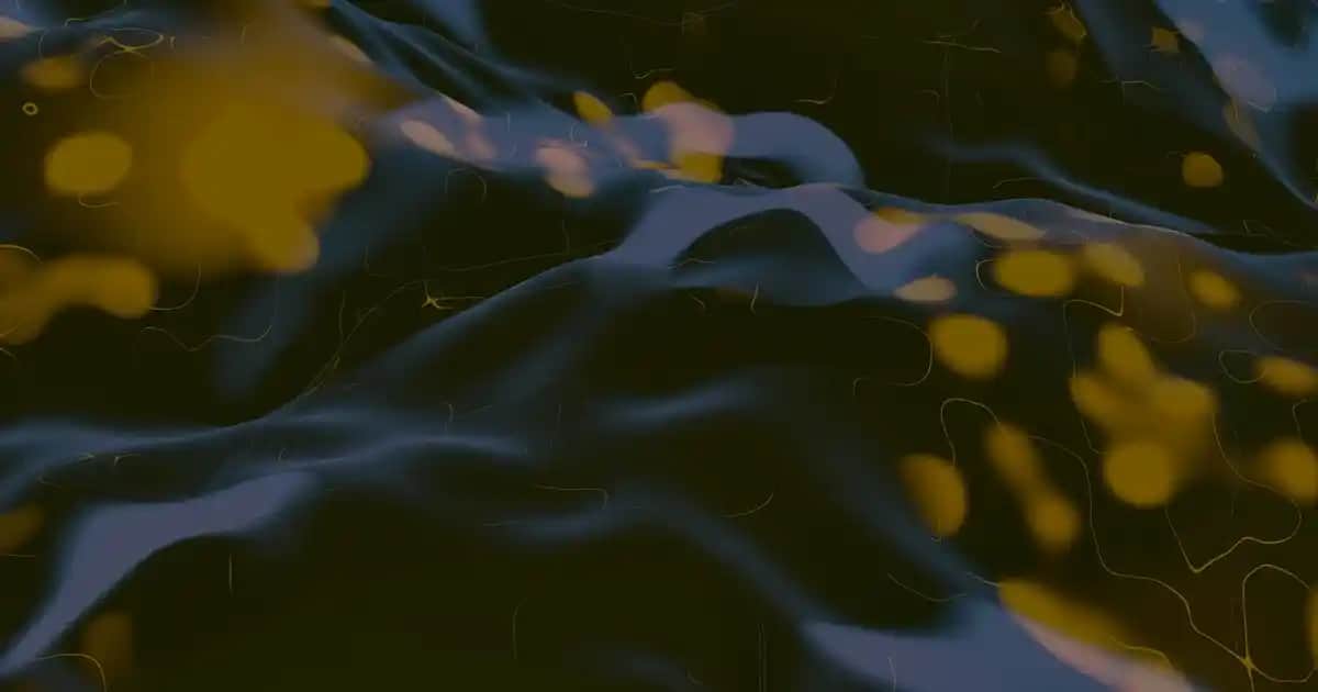 Duracell 2025 Pil Özellikleri ve Kullanım Alanları Hakkında Detaylı Bilgi