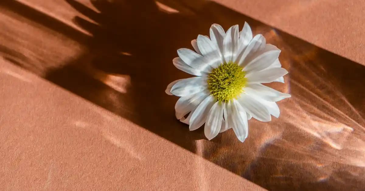 En İyi Elektrikli Isıtıcı Seçenekleri ve Enerji Verimliliği İpuçları