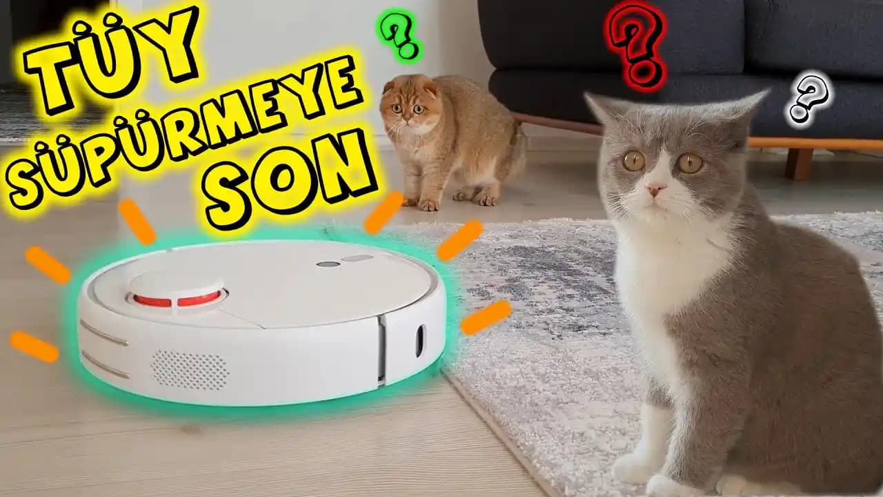 Kedi Robot Süpürge ile Ev Temizliği ve Evcil Hayvan Bakımında Yenilikçi Çözüm