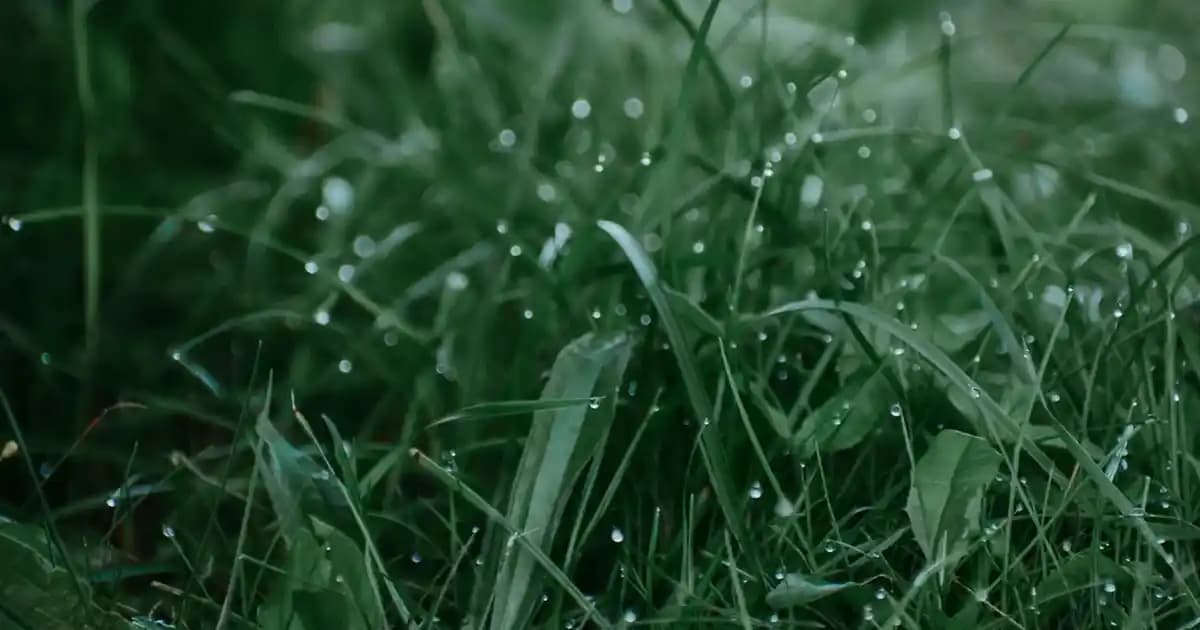 Togg Akülü Arabalar ve Elektrikli Otomotiv Teknolojisinde Türkiye'nin Yeni Dönemi