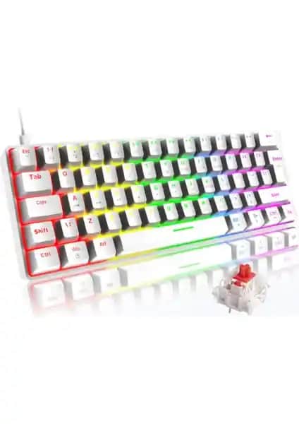 Silabor RGB Beyaz Kırmızı Switch T60 Mekanik Klavye Oyun ve Yazma Deneyimi