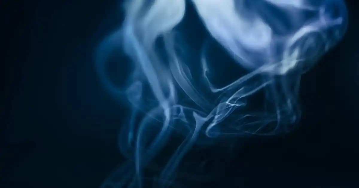 Yazıcı Şeridi Nedir ve Elektronik Dünyasında Önemi Hakkında Kapsamlı Bilgi