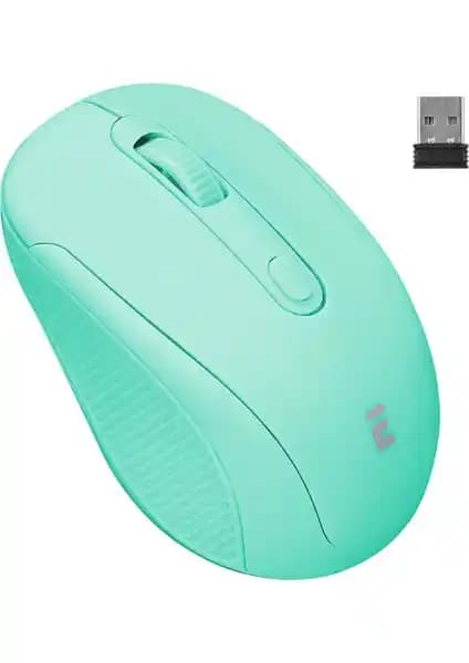 Everest SM-300 ve SM-861 Kablosuz Mouse Modellerinin Detaylı Karşılaştırması