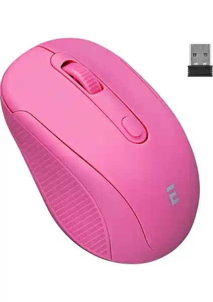 Everest SM-300 ve SMW-384 Kablosuz Mouse Modellerinin Detaylı Karşılaştırması