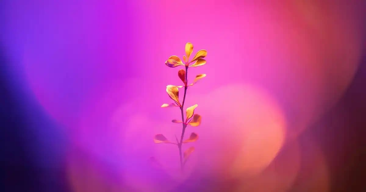 2024 Amerika Tablet Fiyatları ve Satın Alma İpuçları: Güncel Modeller ve Farklar