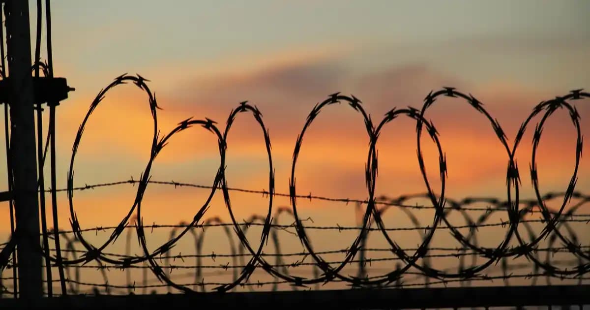 2024 Samsung Telefon Rehberi: Galaxy S, A ve Z Serisi Modellerinin Özellikleri