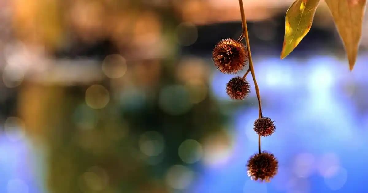 2025'in En İyi Fiyat Performans Laptopları: Intel, AMD ve Öne Çıkan Modeller Rehberi