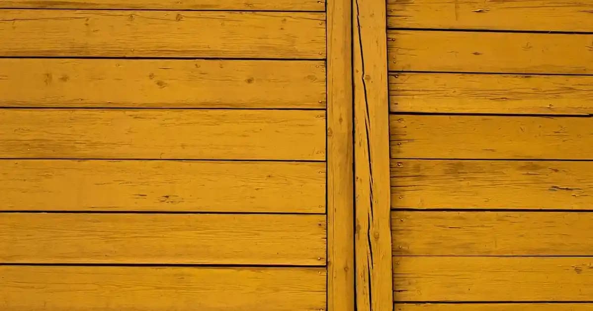 2025 Yılında Fotoğrafçılığa Yeni Başlayanlar İçin sts80 Cihazıyla Temel İpuçları