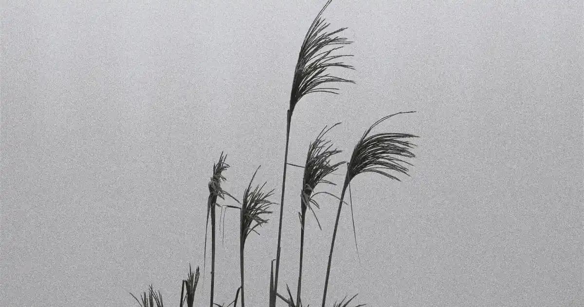 2025 Yılında PUBG Mobile İçin En İyi Telefonlar: Performans ve Donanım Rehberi