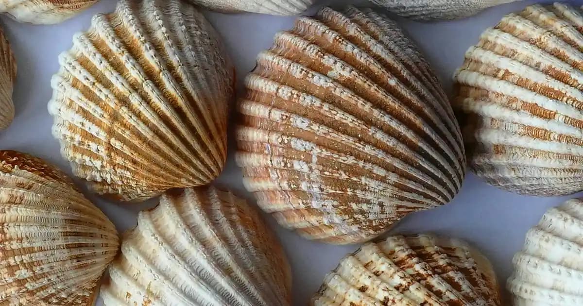 33 Watt Şarj Aleti ile Şarj Süresi: Ortalama ve Etkileyen Faktörler Rehberi