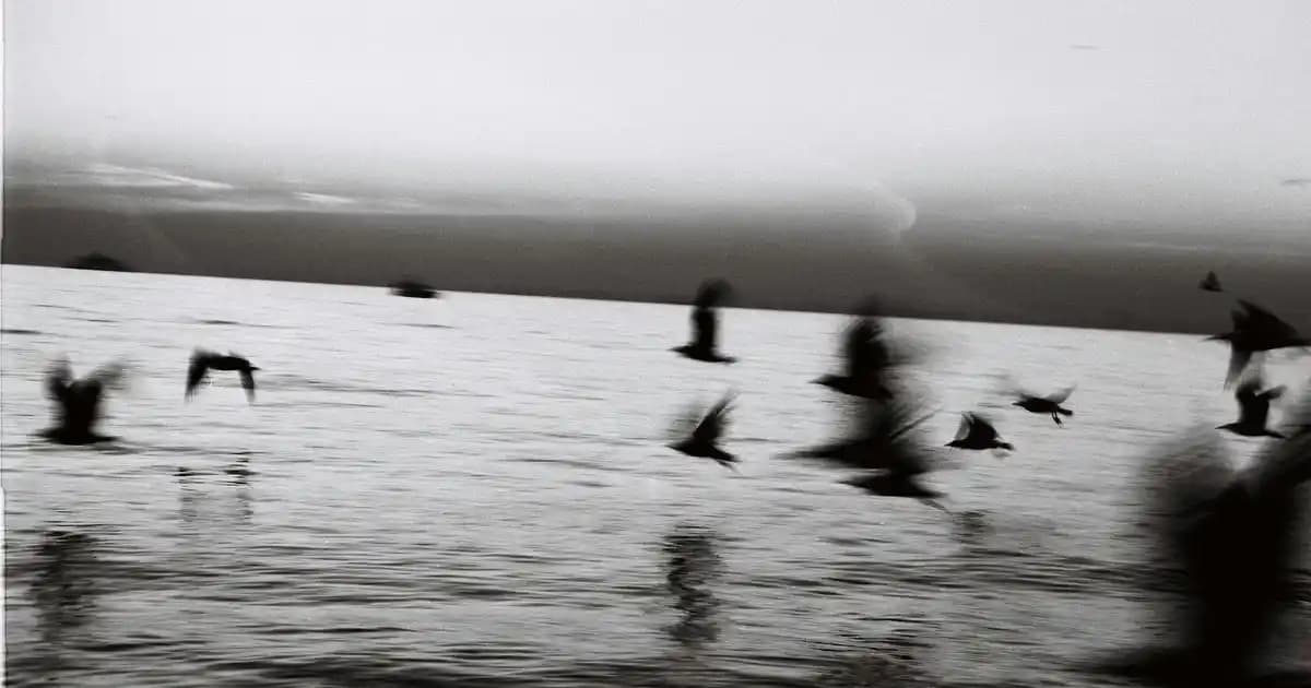 Acer Nitro VG240Y: 23.8 İnç IPS Panel, 75Hz ve 1ms Tepki Süreli Uygun Fiyatlı Monitör