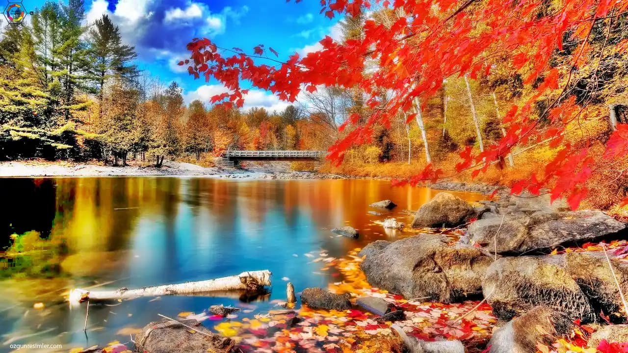 Akıllı Cihazlar İçin Güzel Duvar Kağıtları: Estetik ve Fonksiyonel Seçim Rehberi