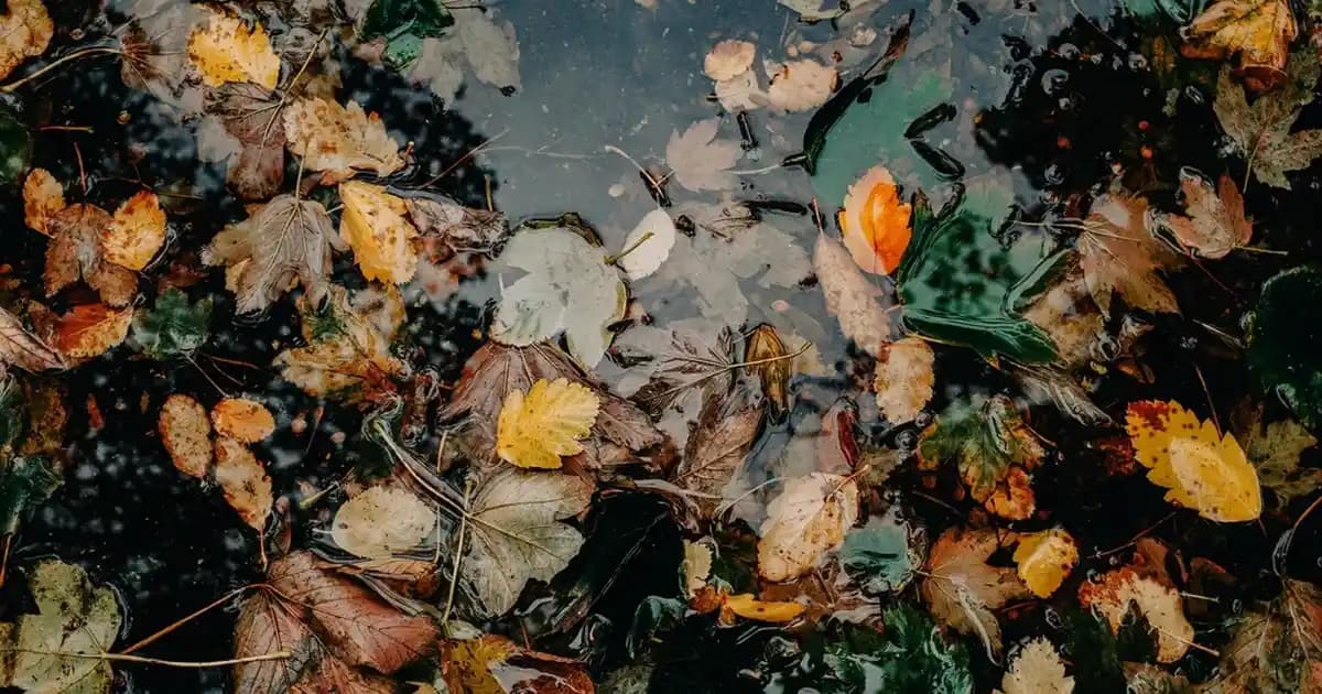 Akıllı Cihazlar ve Bilgisayarlar için İşlemci Seçimi: Performans ve Verimlilik Rehberi