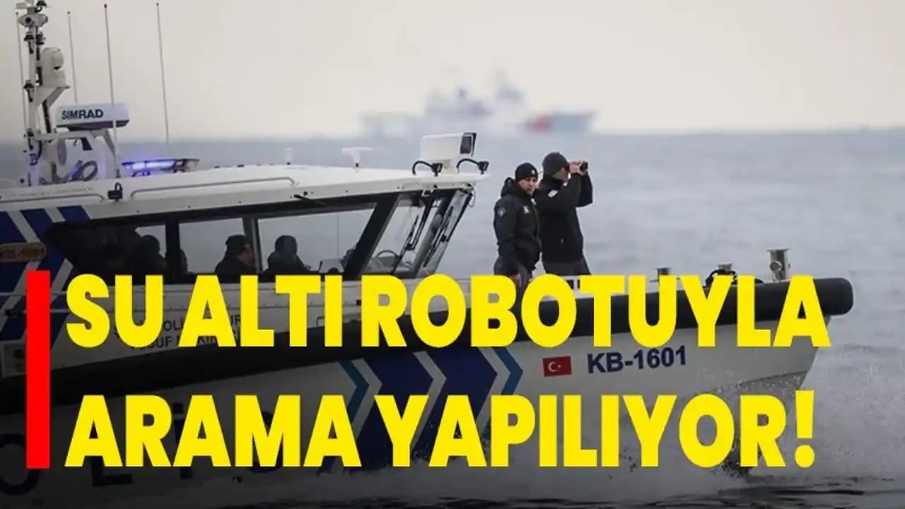 Akıllı Cihazlarda Arama Fonksiyonları ve Kullanıcı Deneyimini İyileştirme Yöntemleri