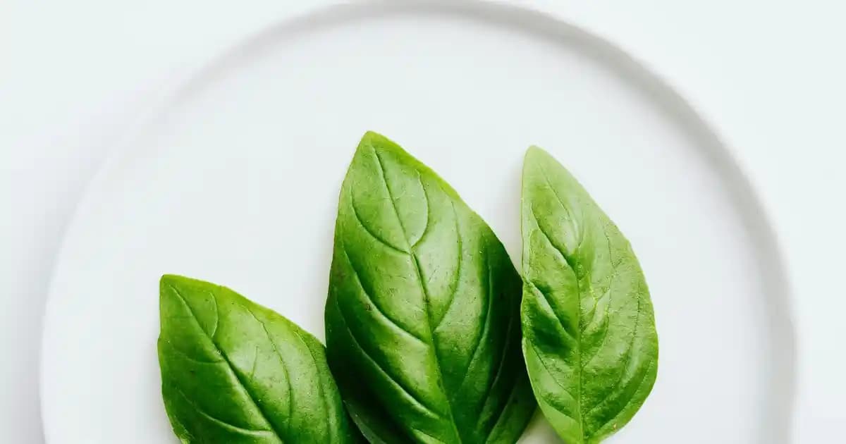 Akıllı Cihazlarda Pil Kullanımını Optimize Etmenin Yolları ve Önemi