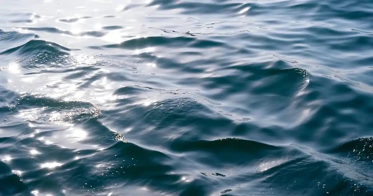 Akıllı Saatlerin Teknolojik Gelişimi ve Geleceği: Fonksiyonlar ve Kullanım Alanları