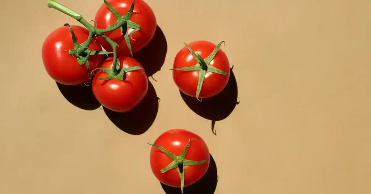 Akıllı Telefonlarda IP Adresi Değiştirme Yöntemleri ve Güvenlik İpuçları