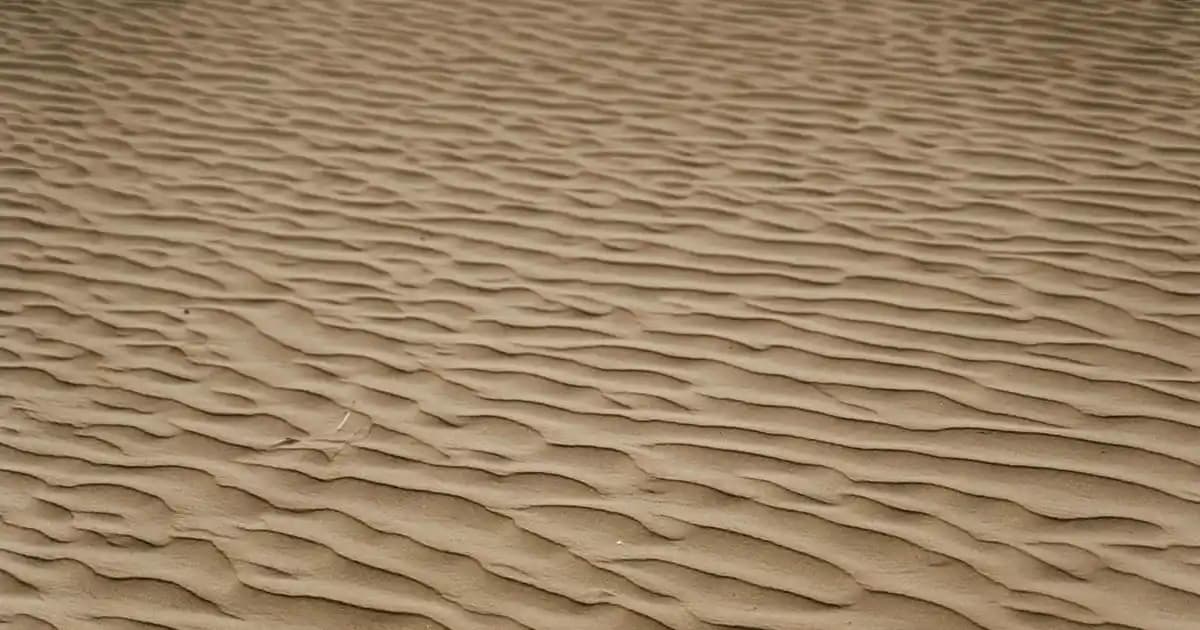 Android Kamera Teknolojisi: Akıllı Telefonlarda Fotoğrafçılıkta Donanım ve Yazılım Entegrasyonu