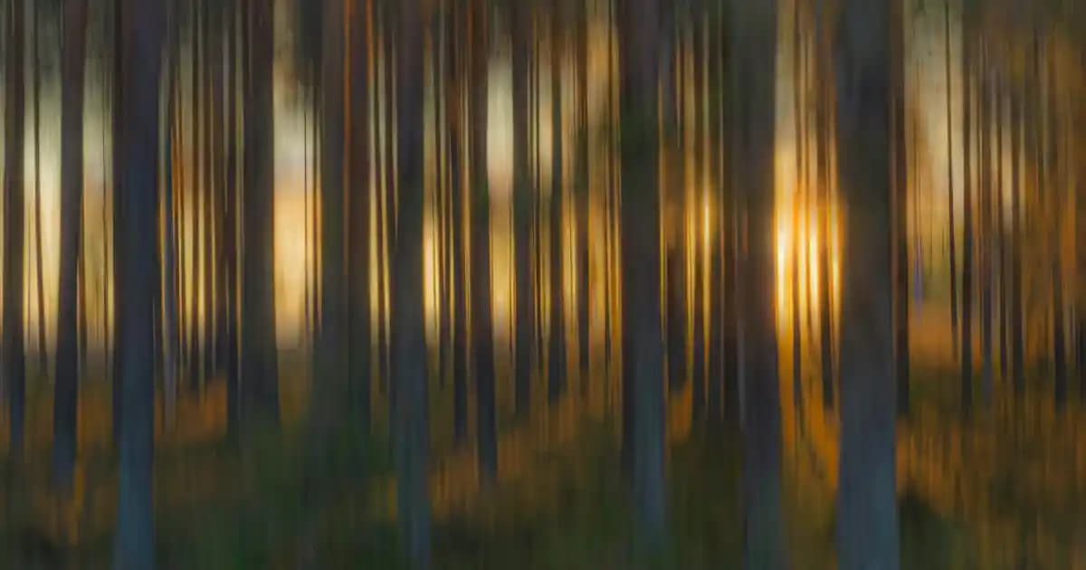 Anti Parantez Yazımı: Akıllı Telefon ve Bilgisayarlarda Doğru Kullanım Rehberi