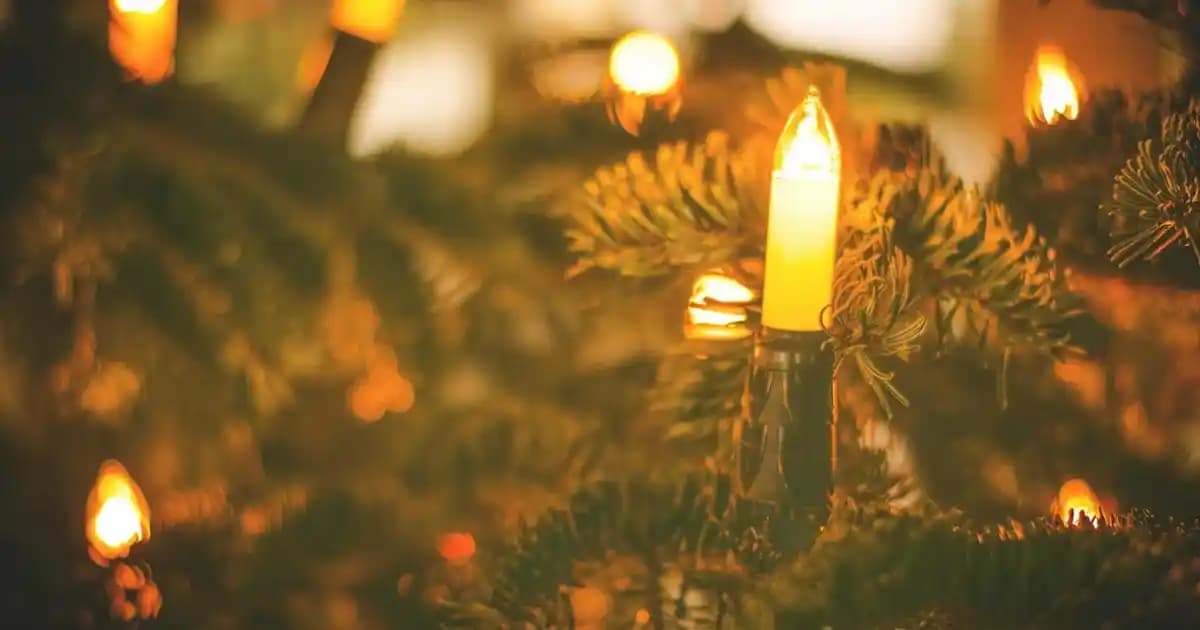 Bağlı USB Cihazı Desteklenmiyor Hatası: Nedenleri ve Çözüm Yolları