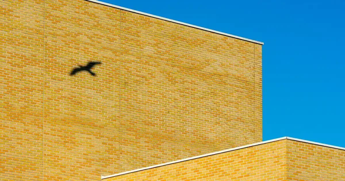 Batum'da Telefon Fiyatları ve Satın Alma Rehberi: En Güncel Modeller ve İpuçları