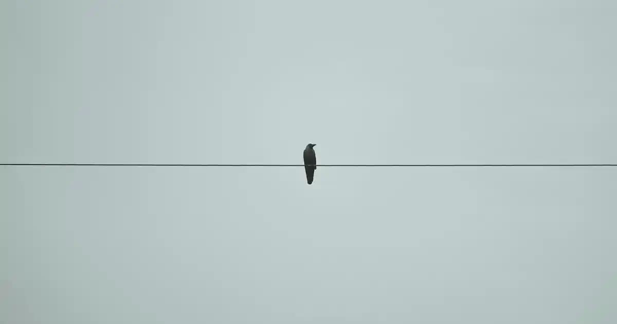 Batum Elektronik Fiyatları ve Alışveriş Rehberi: Uygun Fiyatlı Teknoloji Ürünleri