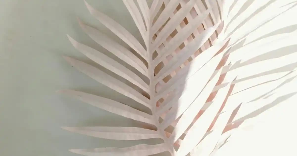 Batumda Elektronik Eşya Alışverişi: En İyi Mağazalar, Marketler ve Online Seçenekler