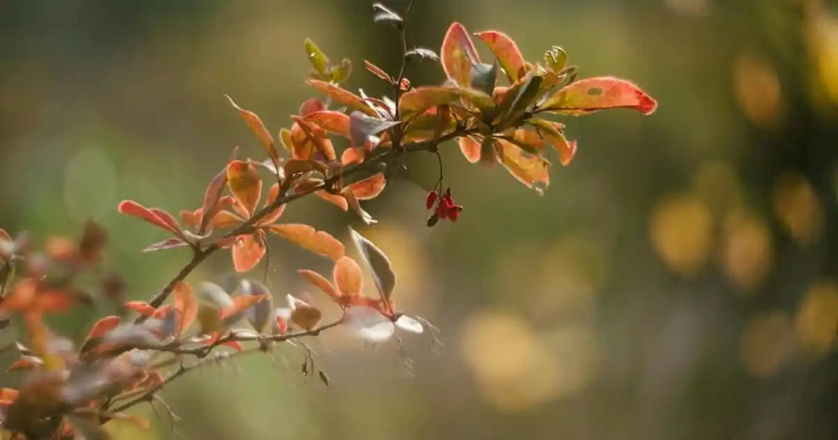 Bilgisayar Klavyesinde Nokta İşareti Nasıl Yapılır? Pratik ve Detaylı Rehber