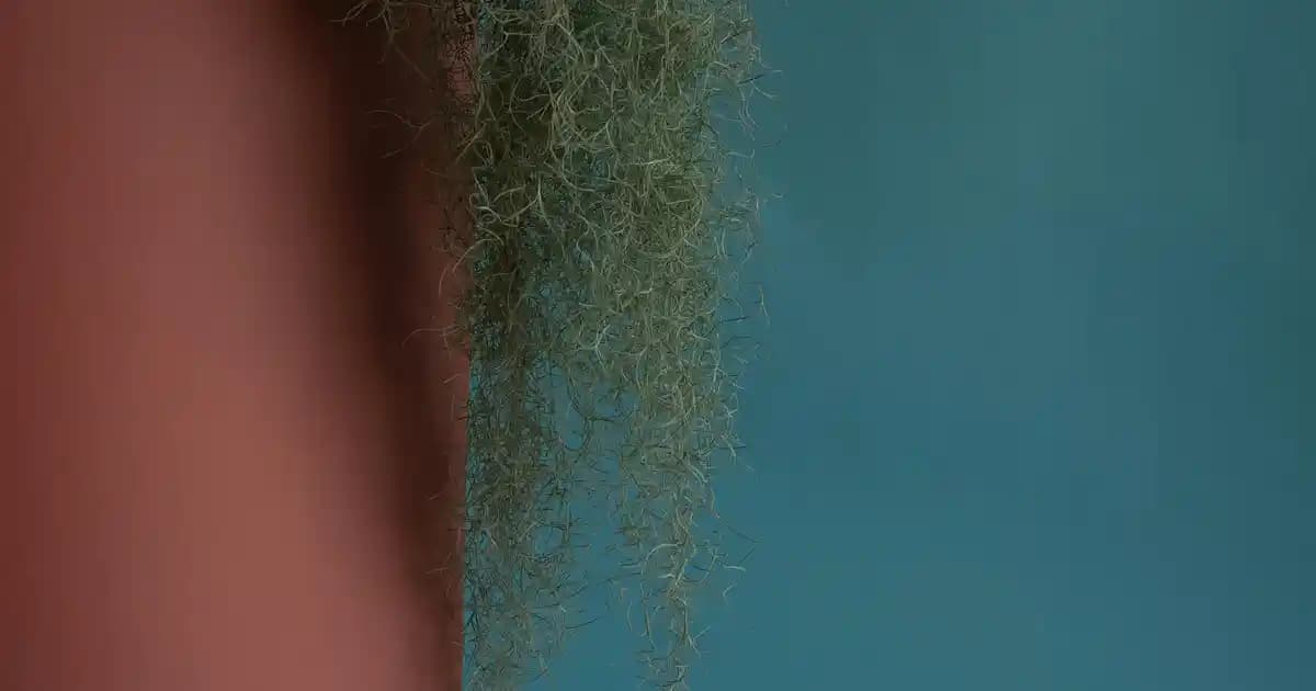 Bilgisayar ve Mobil Cihazlarda Klavye Tuşlarıyla Kopyalama İşleminin Verimliliği