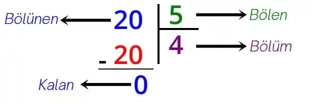 Bölme İşlemi Hesaplama: Dijital Cihazlarda Temel Matematiksel Fonksiyonların Rolü