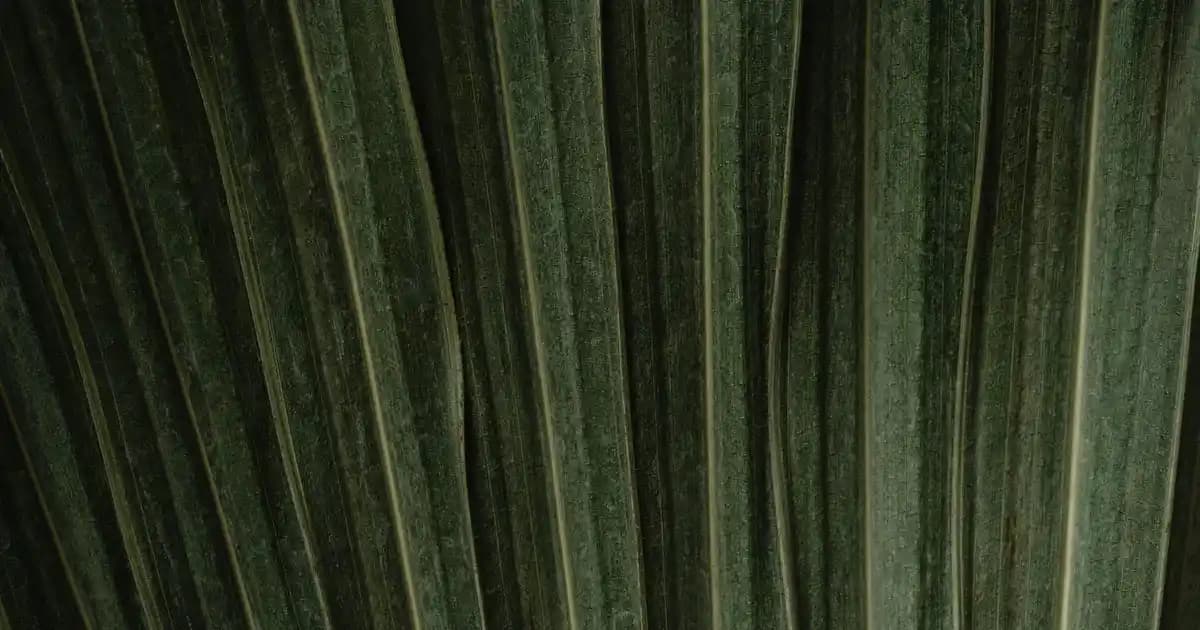 Bosch 10 Kiloluk Çamaşır Makinesi: Yüksek Kapasiteli ve Enerji Verimli Seçenekler