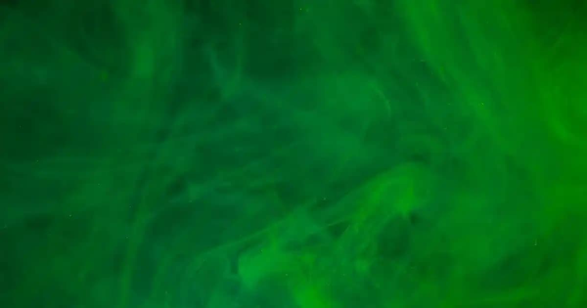 Bosch Buzdolabı İçin Doğru Sıcaklık Ayarları ve Gıda Saklama Rehberi