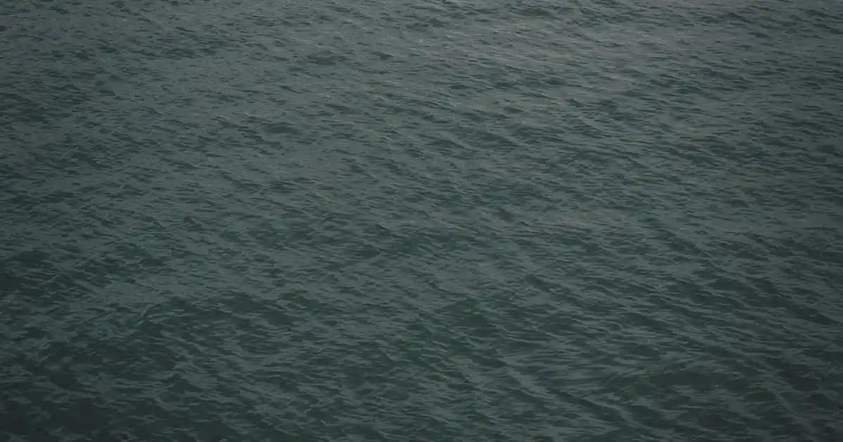 Büyük Ekran Telefonlar: Mobil Teknolojide Tasarım, Performans ve Kullanım Avantajları