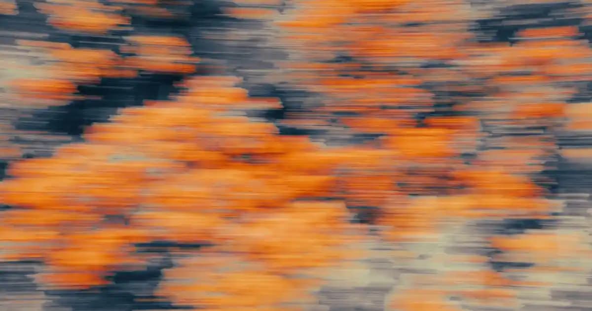 BVS Elektronik: Geniş Ürün Yelpazesi ve Müşteri Odaklı Teknoloji Hizmetleri