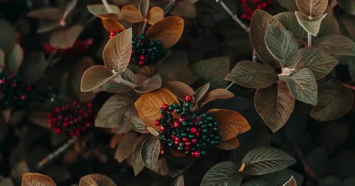 Canon E414 Kartuş: Yüksek Baskı Kalitesi ve Doğru Kurulum İçin Rehber