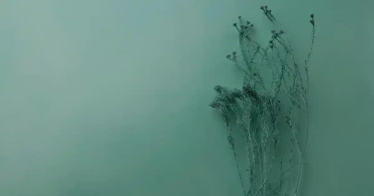 Cep Telefonu İnterneti Bilgisayara Bağlama Yöntemleri ve Dikkat Edilmesi Gerekenler