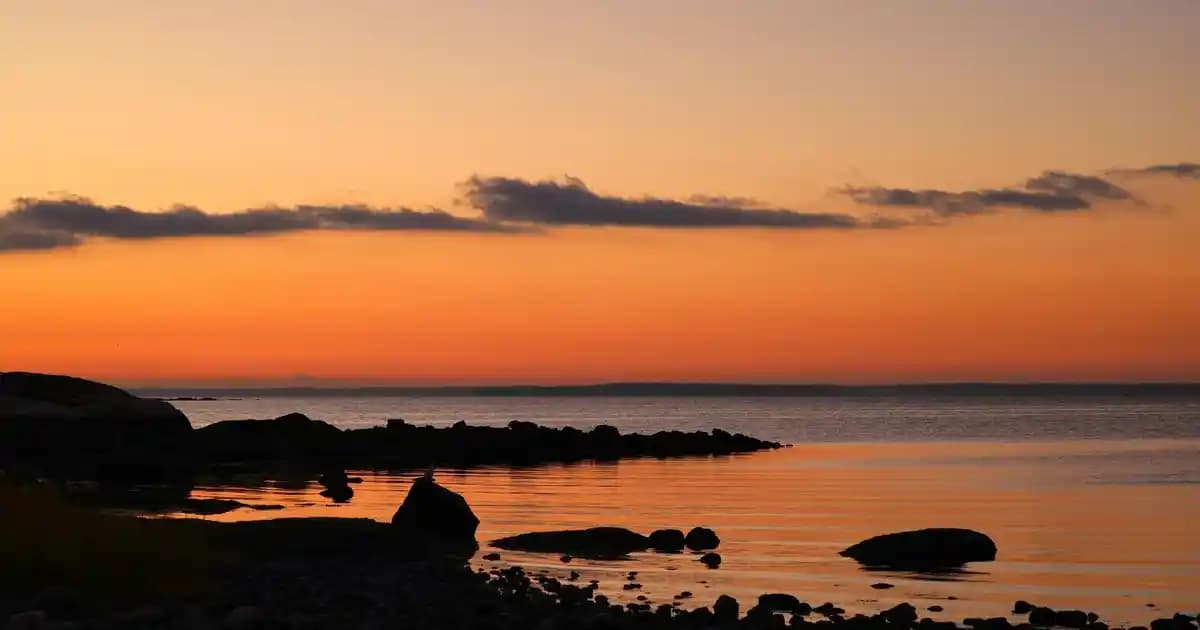 Dell Latitude 7200 2-in-1: İş Dünyası İçin Esnek ve Güçlü Performans Sunan Dizüstü Bilgisayar