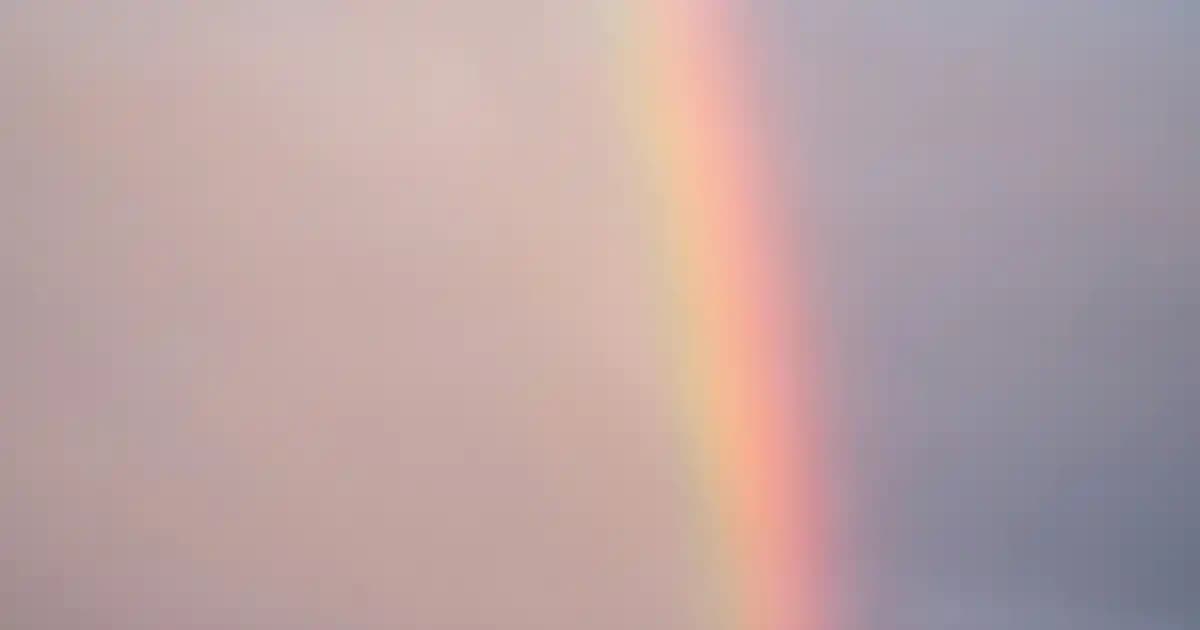 Dubai Teknoloji Mağazaları: Geniş Ürün Yelpazesi ve Rekabetçi Fiyatlarla Alışveriş Rehberi